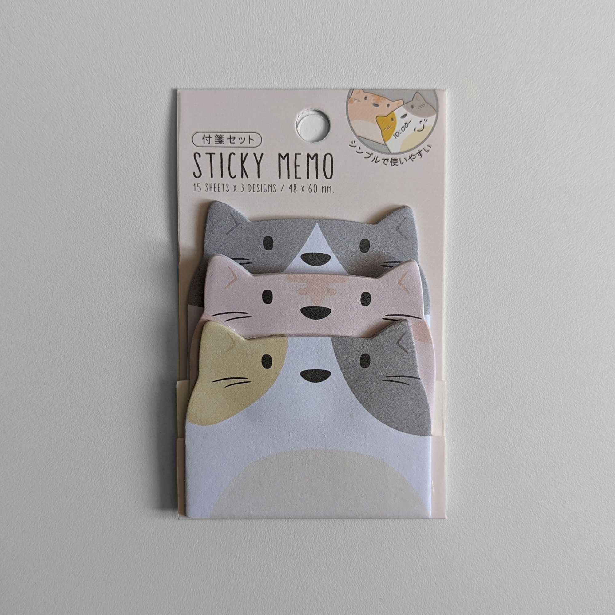 Chatons Chatons