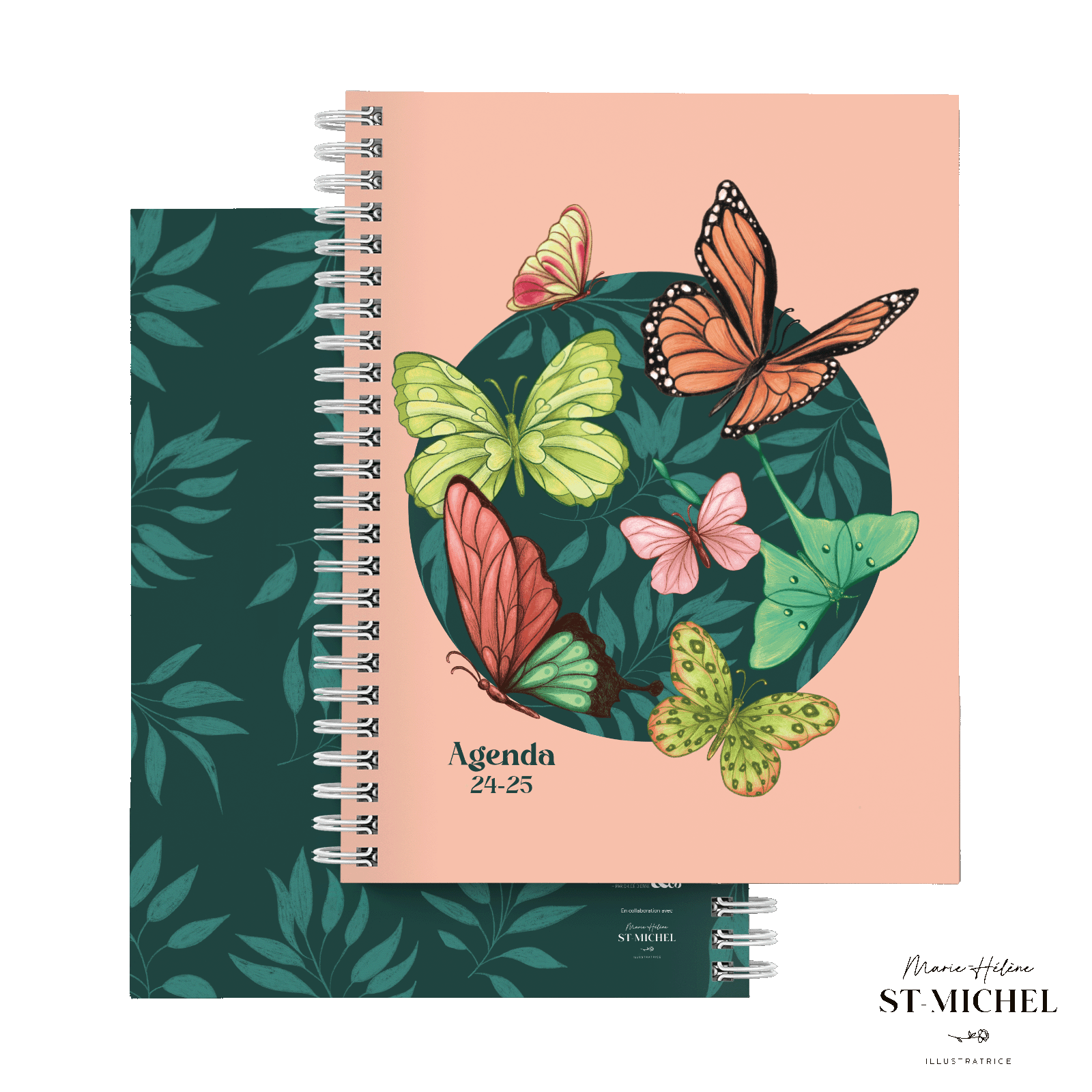 Papillons Papillons