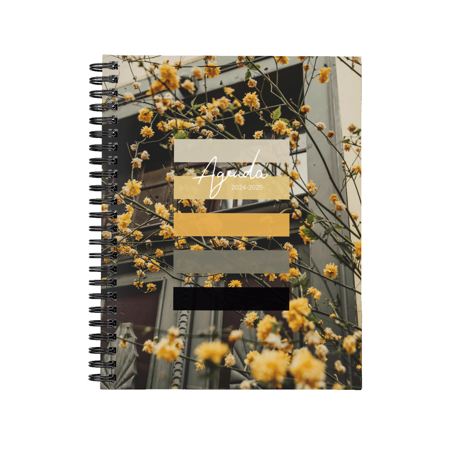 Fleurs urbaines Fleurs urbaines