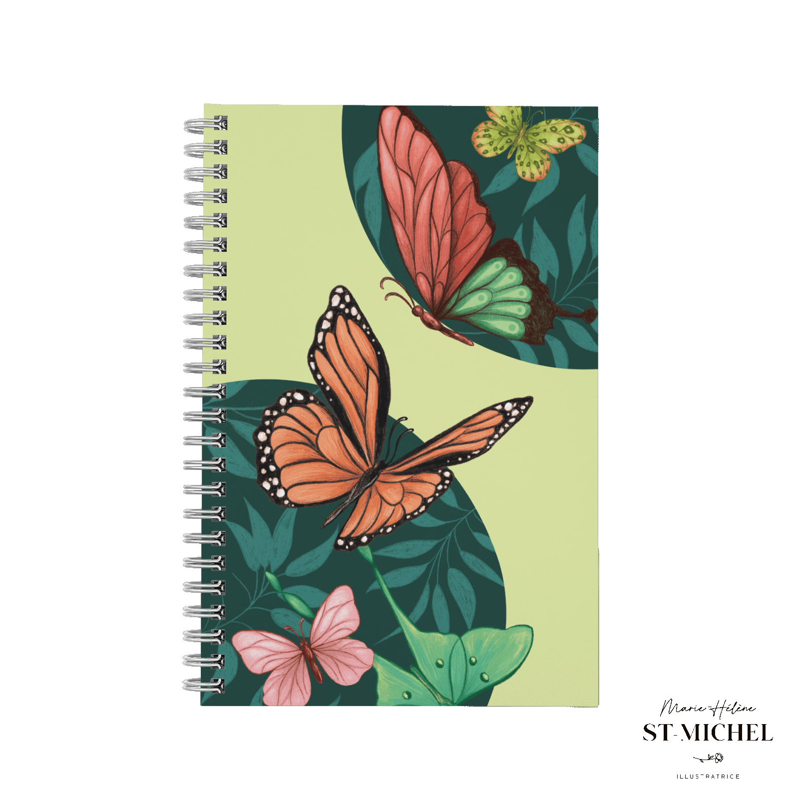 Papillons Papillons