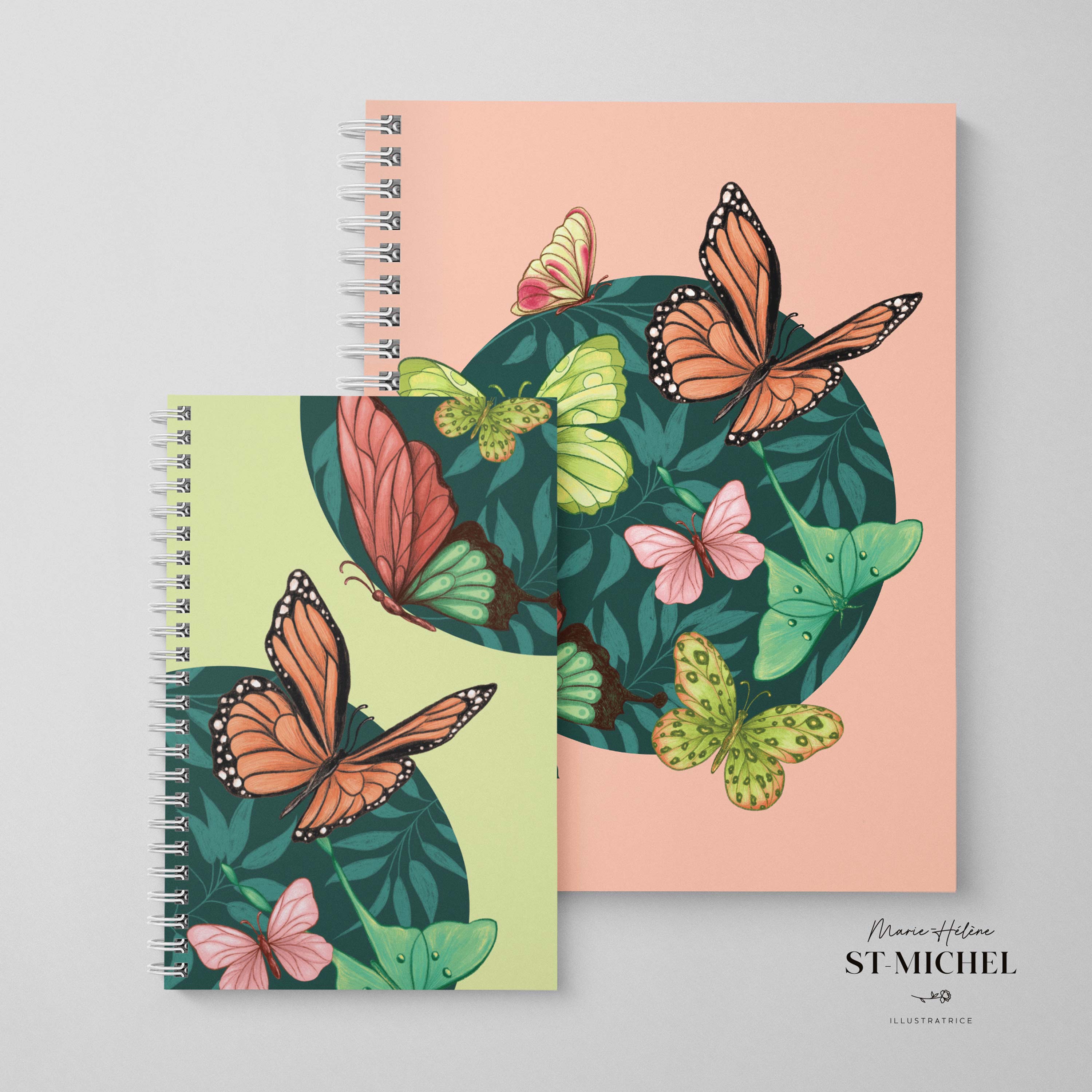 Papillons Papillons