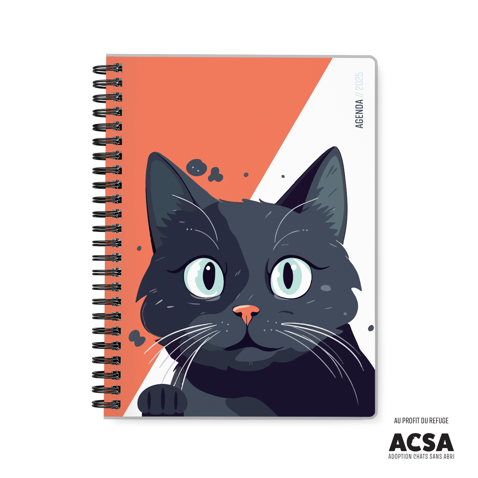 Chat chanceux (ACSA) Chat chanceux (ACSA)