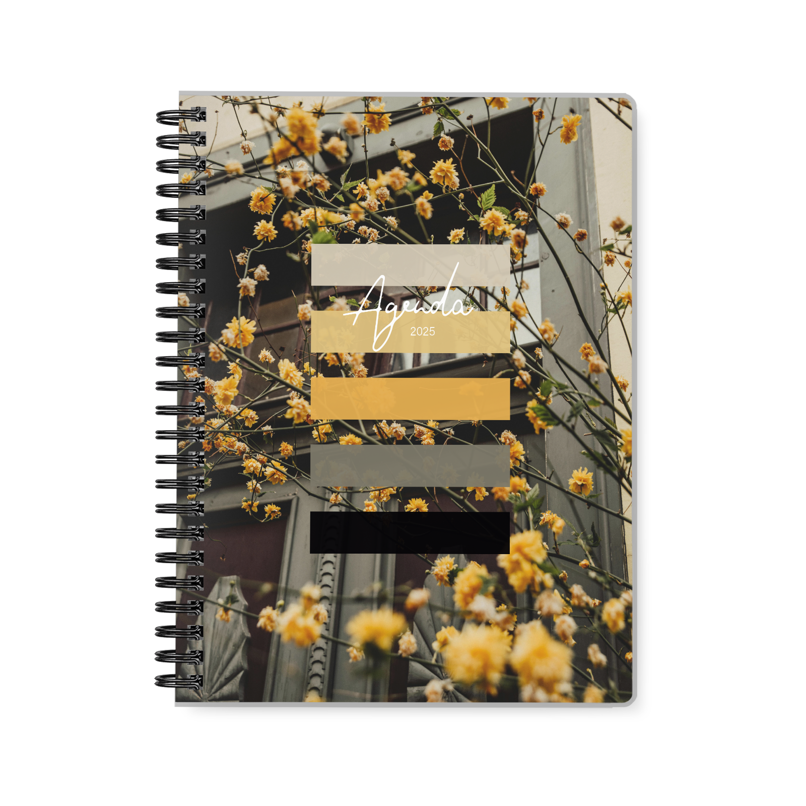 Fleurs urbaines Fleurs urbaines