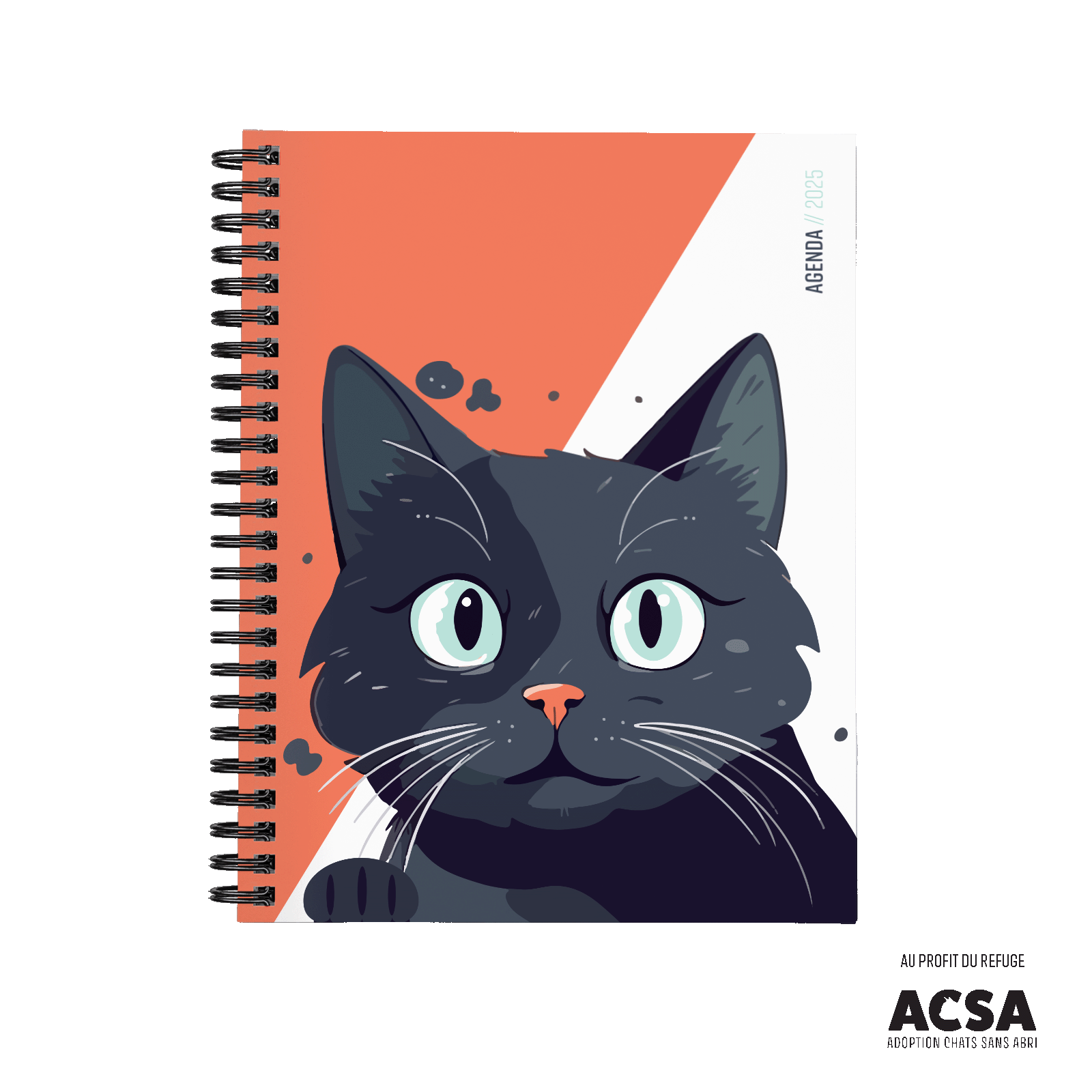 Chat chanceux (ACSA) Chat chanceux (ACSA)