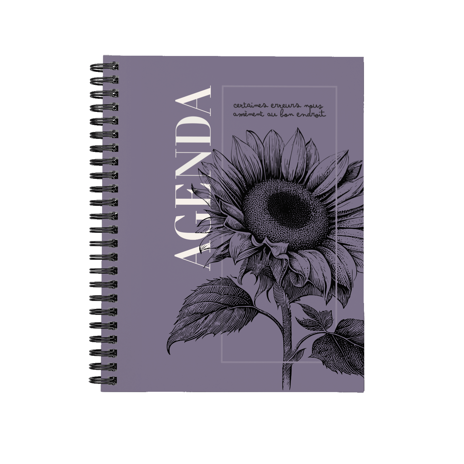 Tournesol Tournesol