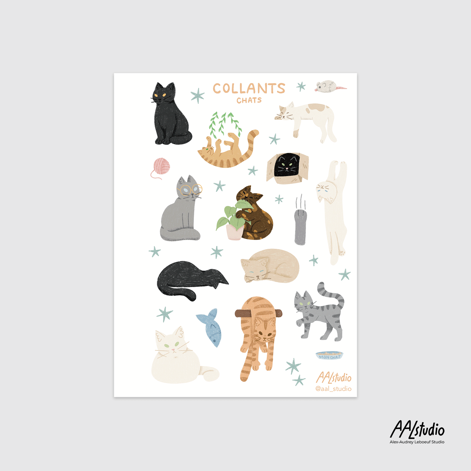 Chats Chats