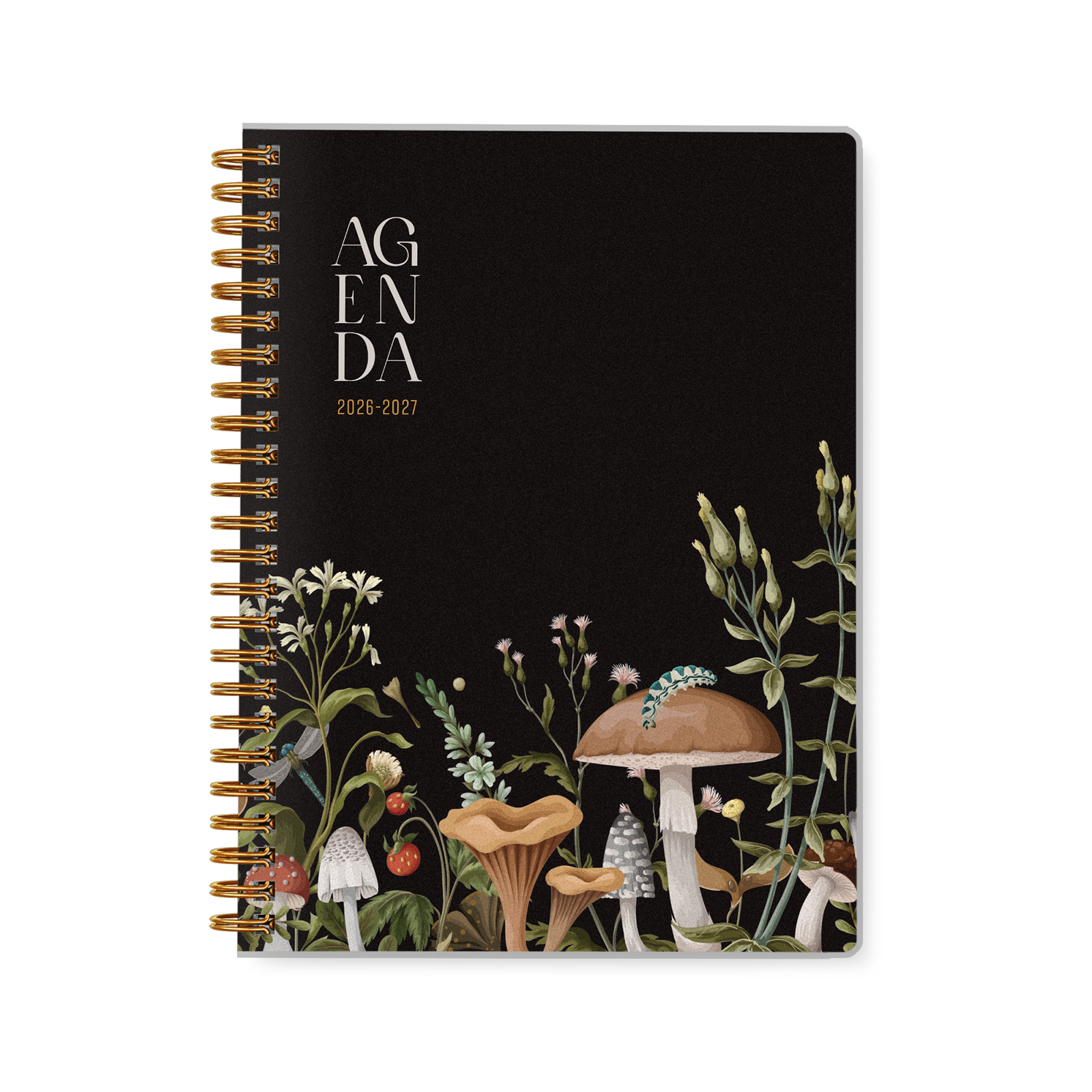 Forêt de champignons