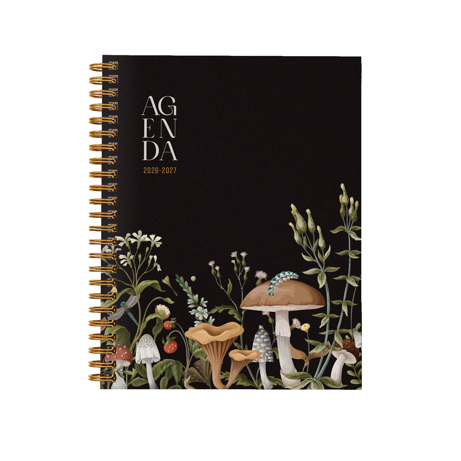 Forêt de champignons