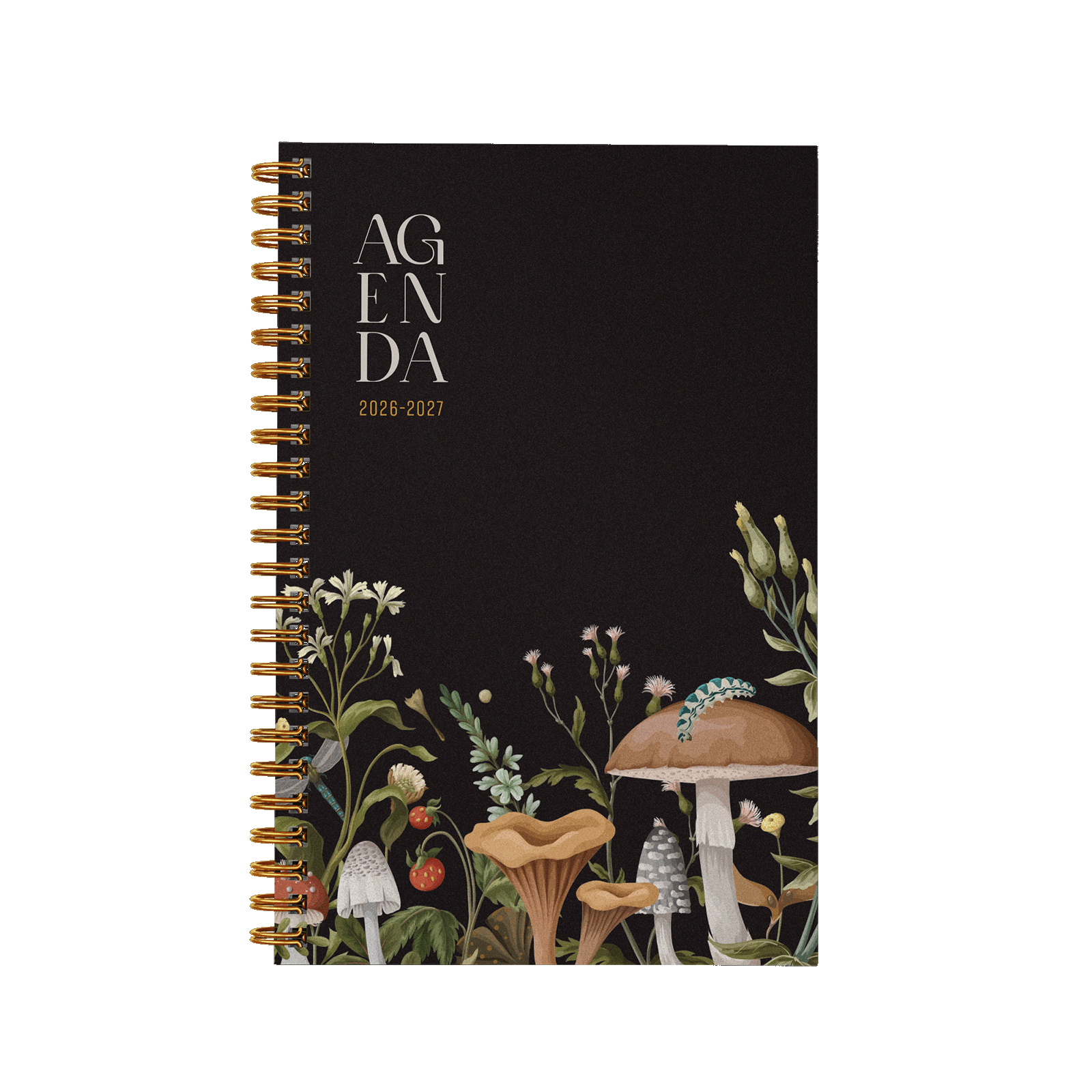 Forêt de champignons