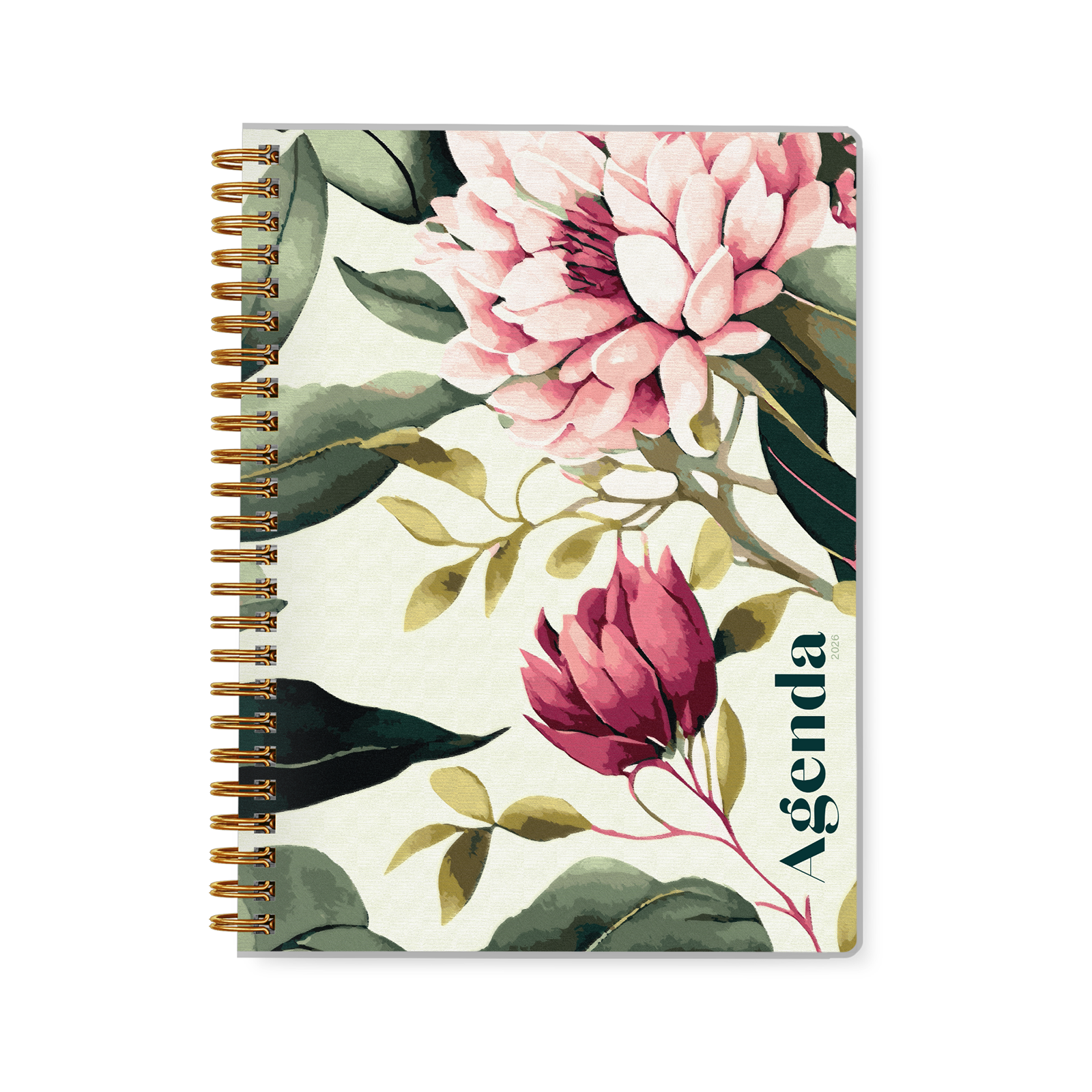 Pivoines Pivoines