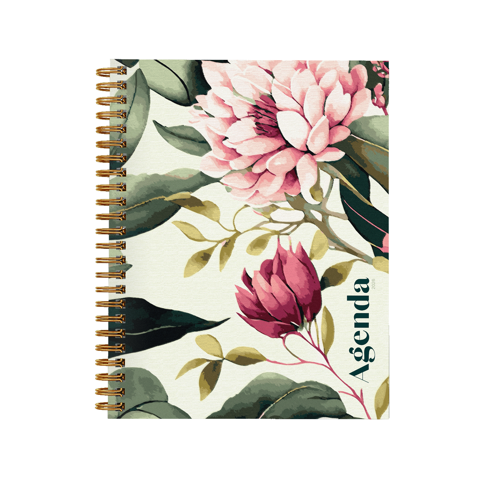 Pivoines